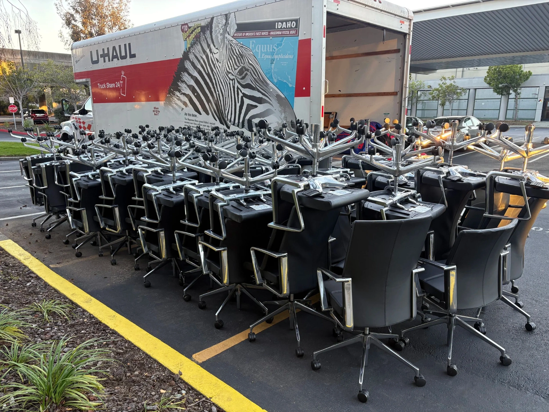 Bulk order of office chairs — wholesale office furniture Berkeley Bay Area